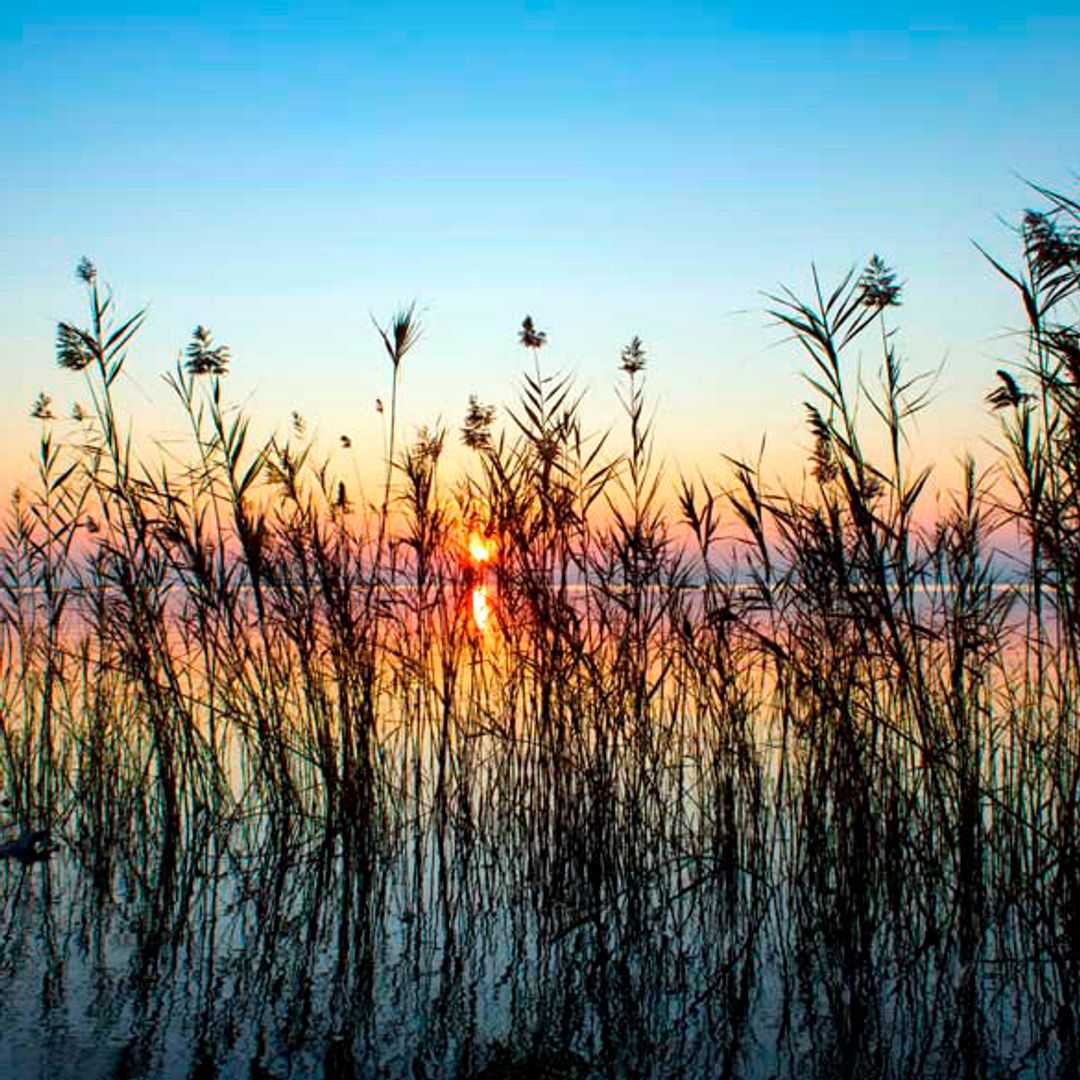 Atardecer en la Albufera de Valencia