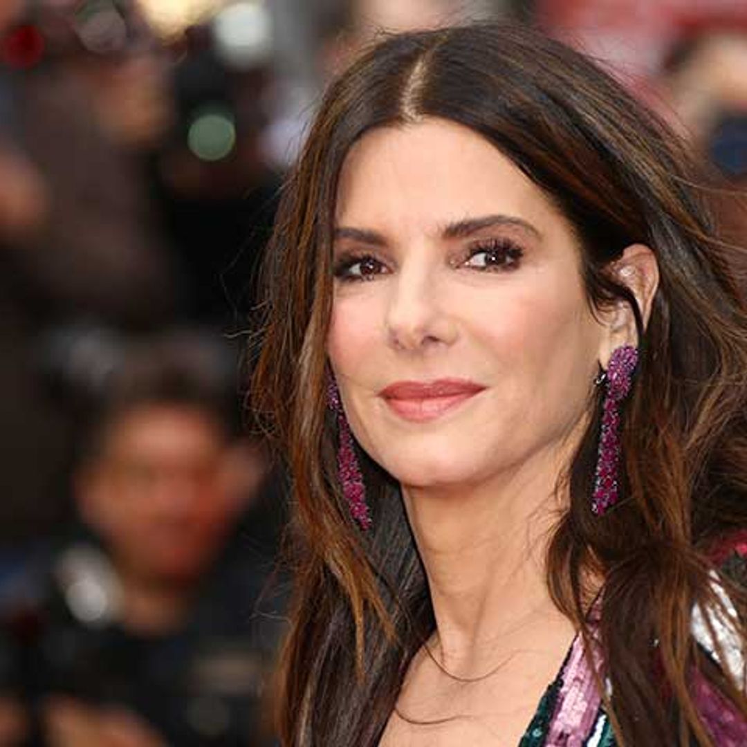 Sandra Bullock colabora para salvar a los animales heridos por el incendio de California
