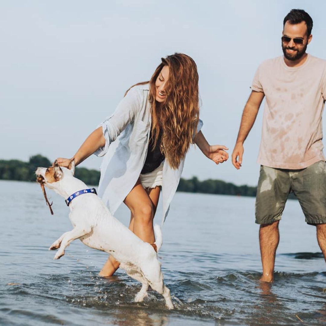 Las razas de perro más activas, perfectas si te gusta hacer ejercicio
