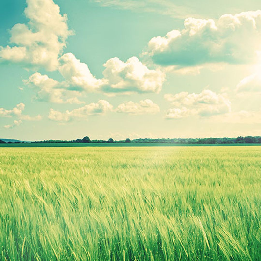 ¿Sabías que has vivido en el periodo más caluroso de la historia?