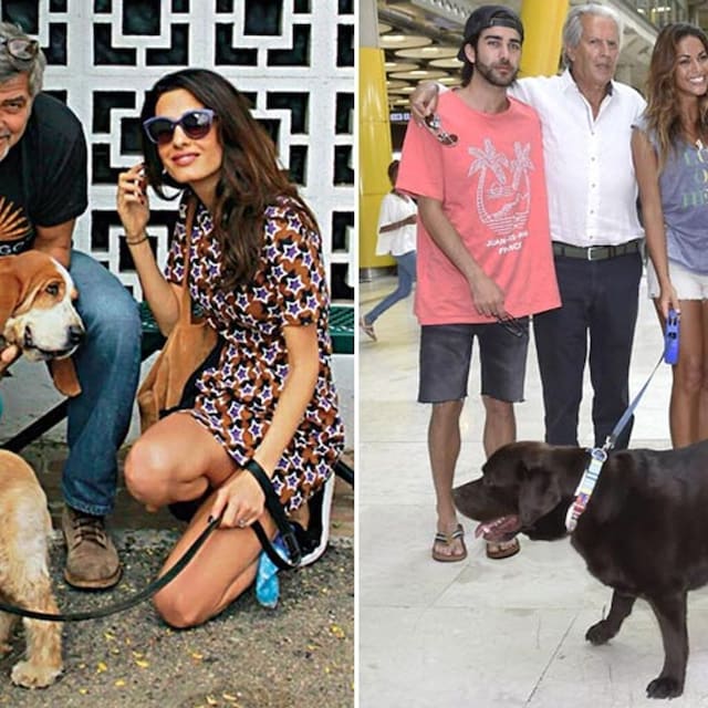 mascotas famosos