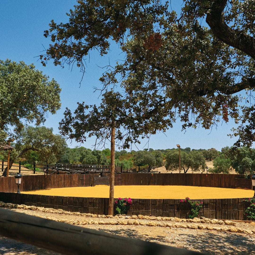 ANDRÉS ROCA REY EL DIESTRO QUE BATE RÉCORDS, REFLEXIONES CON "¡HOLA!" EN "LA CONSENTIDA", SU FINCA SEVILLANA, SOBRE LOS SUEÑOS CUMPLIDOS, LA FAMILIA Y EL AMOR 