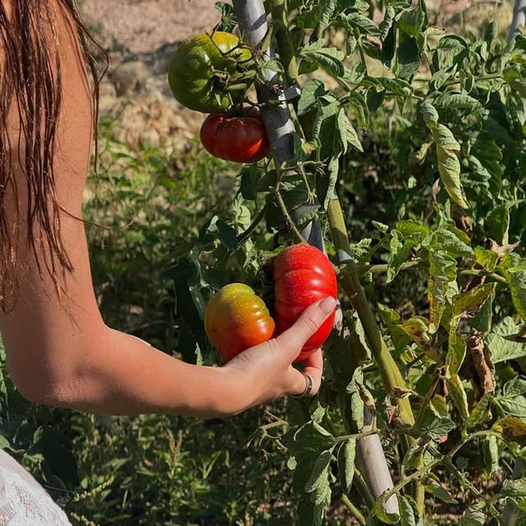 Camila Morrone agarra un tomate de una rama