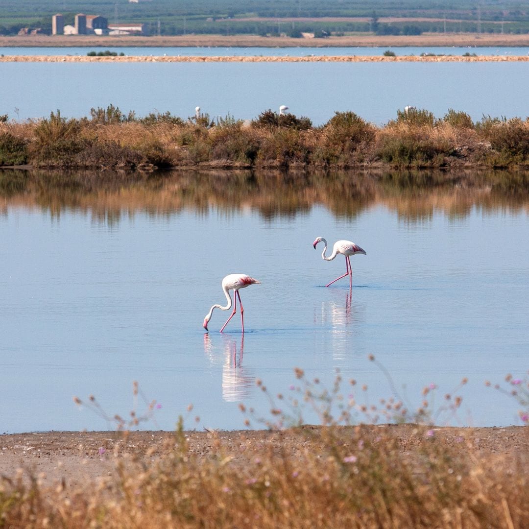 Salinas de Margherita di Savoia, Puglia, Italia