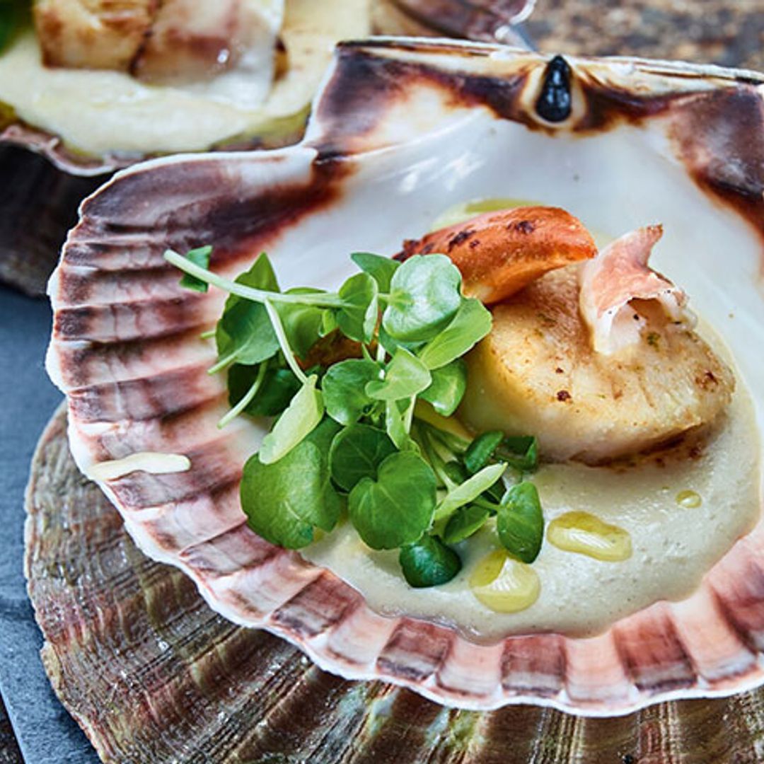 Vieiras con beicon sobre cama de hummus