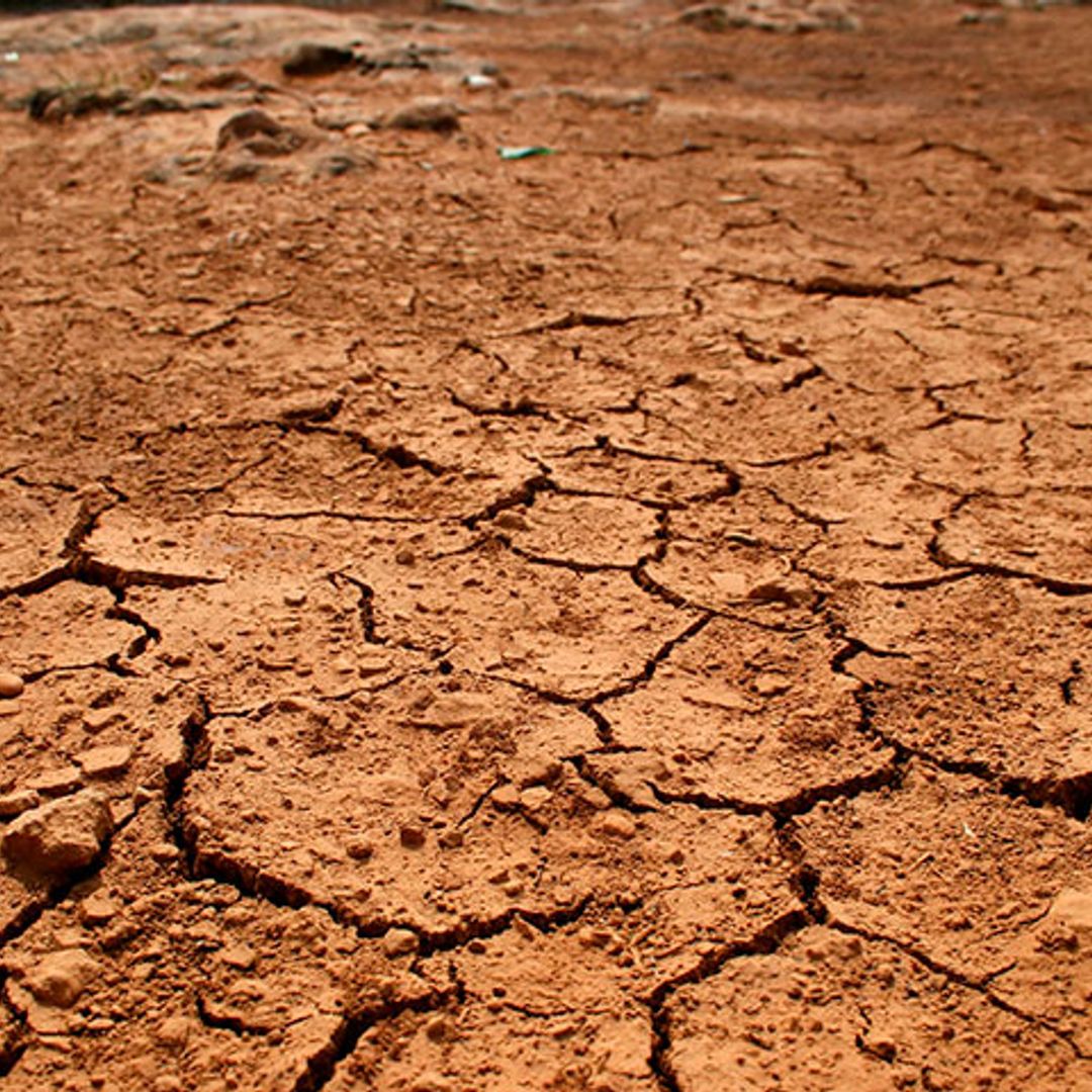 La agricultura de la zona mediterránea, amenazada por el cambio climático