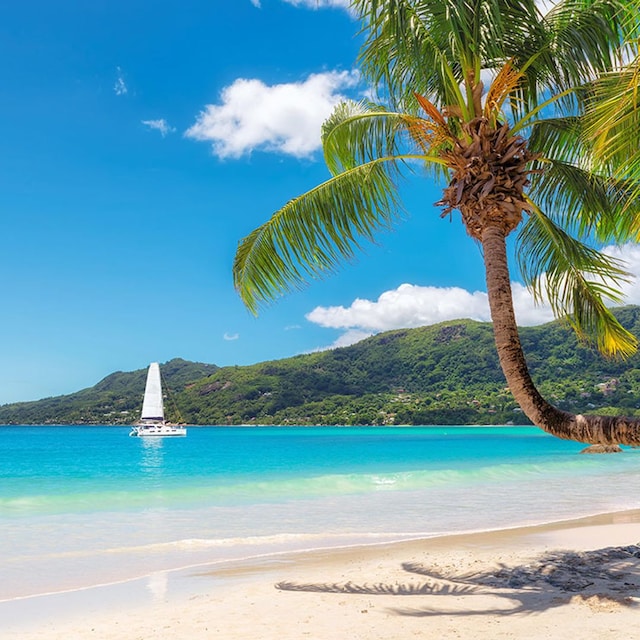 seychelles ayy j53y7p