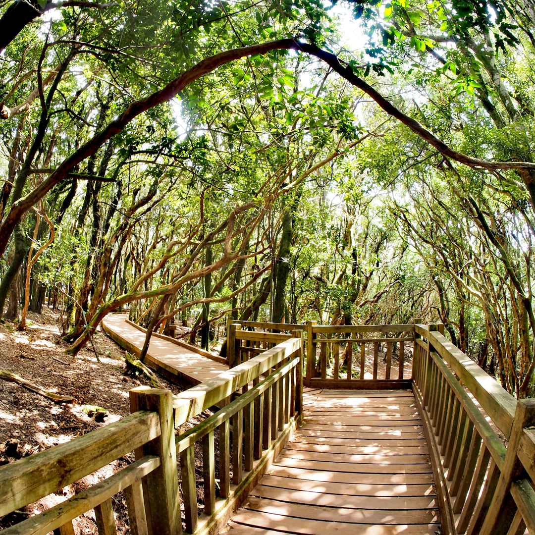 Parque Natural de Anaga, tenerife.