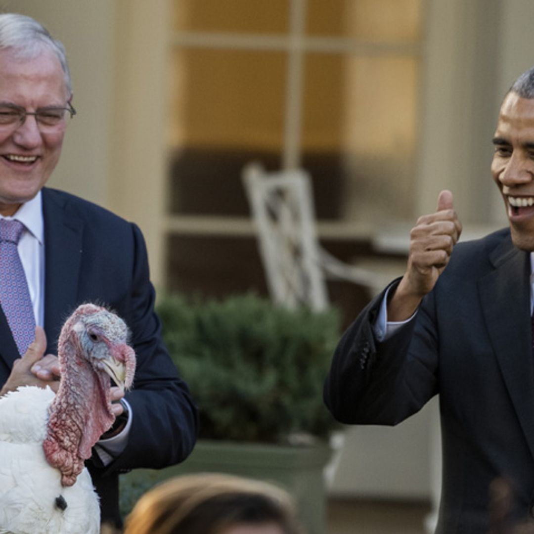 Las divertidas imágenes del último indulto de Obama al pavo de Acción de Gracias como presidente
