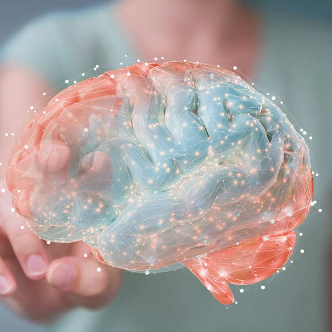 ¿Es lo mismo 'mantener' y 'entrenar' el cerebro? Te contamos la diferencia