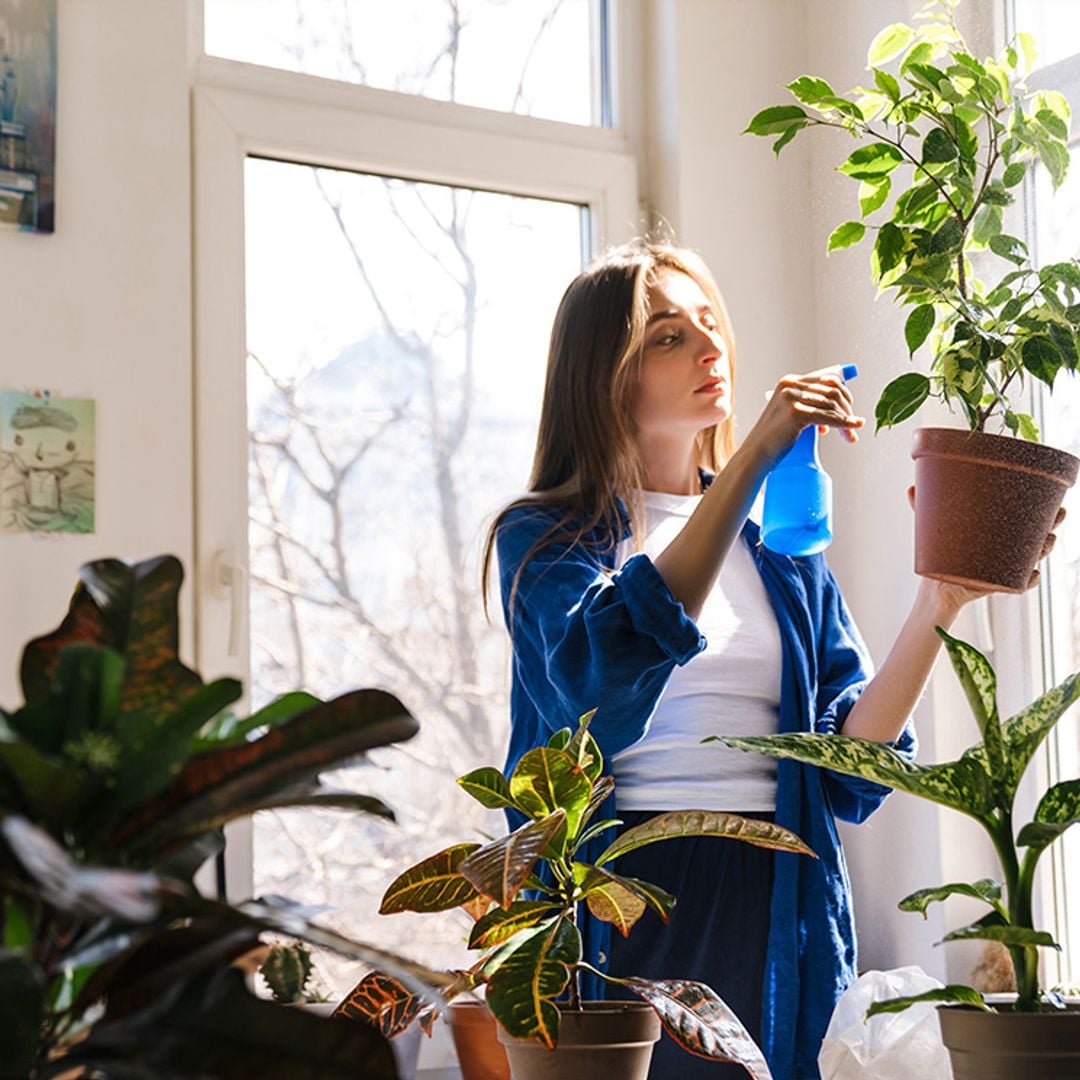 9 ideas para que tus plantas sobrevivan, si te vas de vacaciones