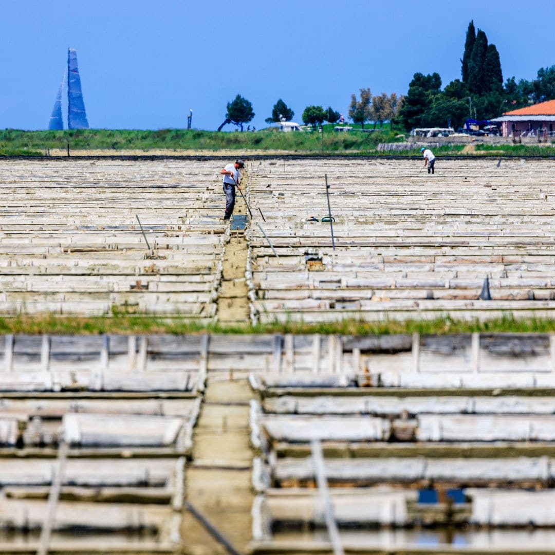 Salinas de Piran, Eslovenia