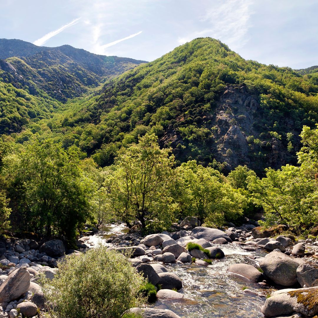 Entorno de Candeleda, Sierra de Gredos, Ávila