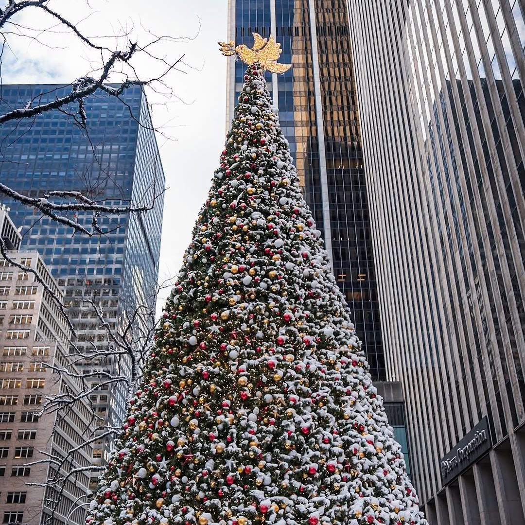 Navidad en Nueva York