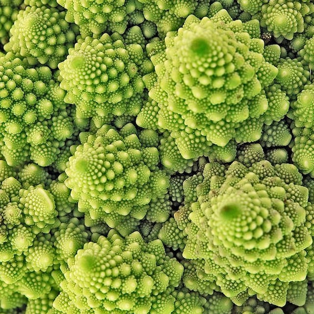 romanesco