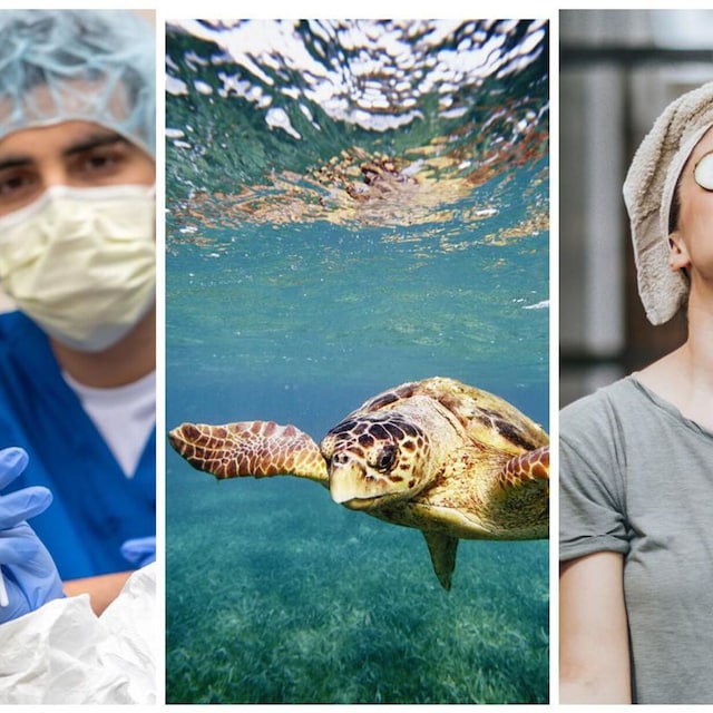 gettyimages 1217487224 collage u03155446550jps