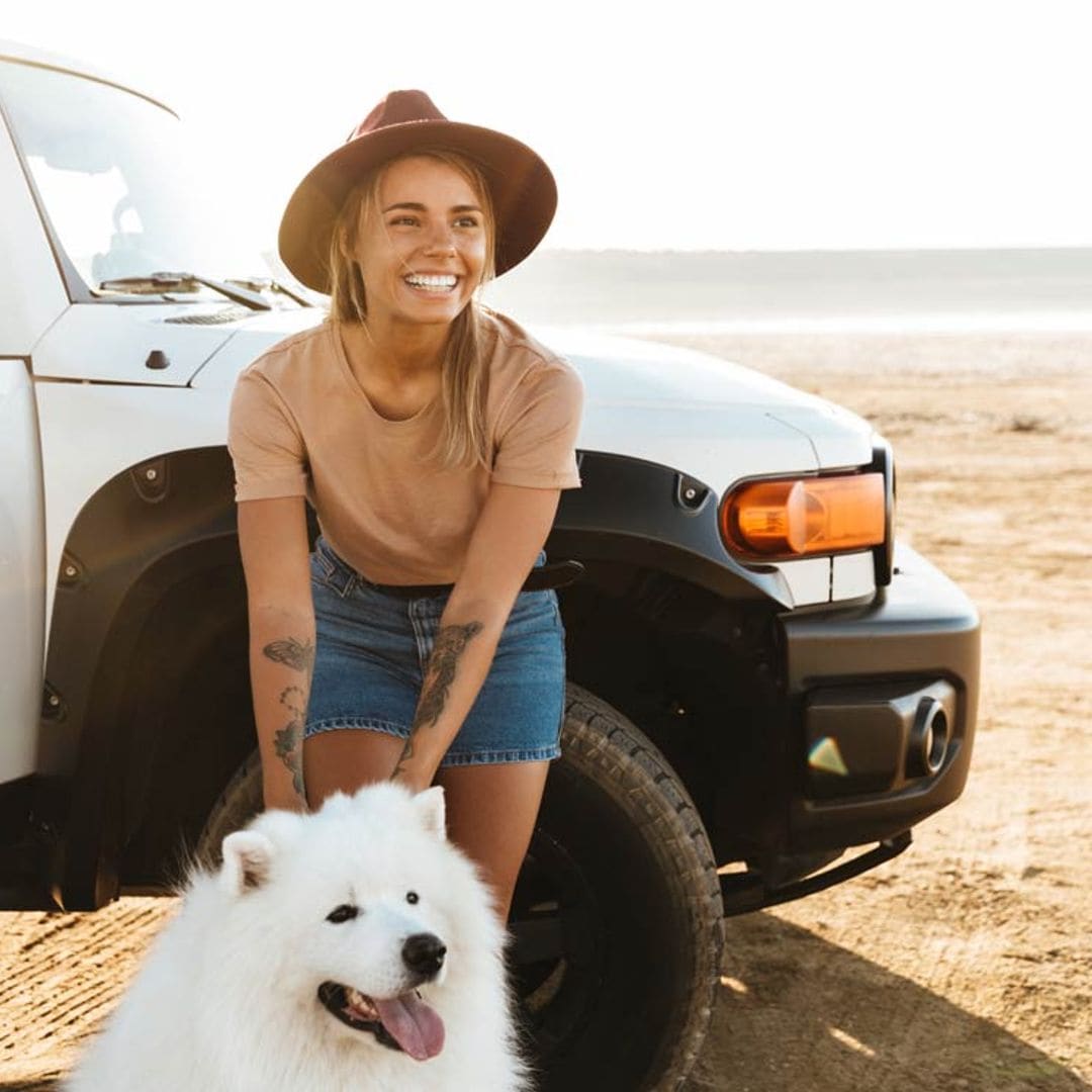 7 cosas que debes saber si vas a ir a la playa con tu perro