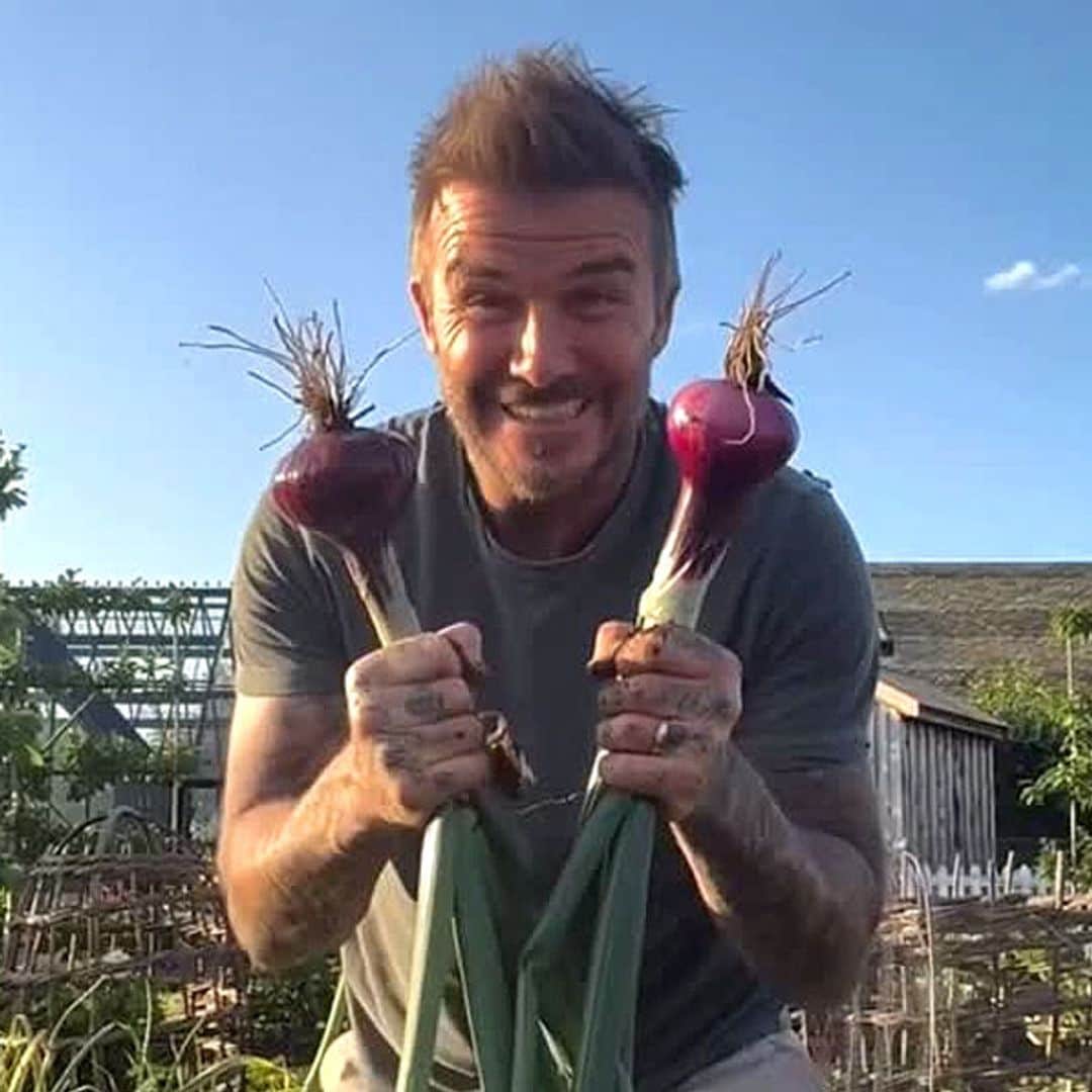 El divertido vídeo de David Beckham al estilo agricultor comentado por Victoria
