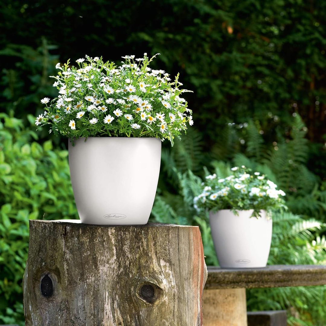 Este es el invento para plantas que se está volviendo viral y que te ayuda a irte tranquila de vacaciones