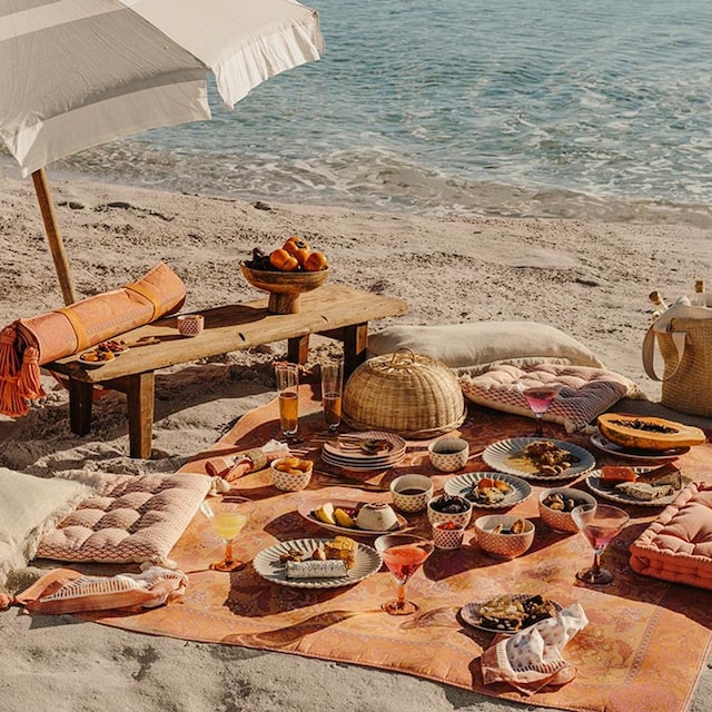 picnic 2t