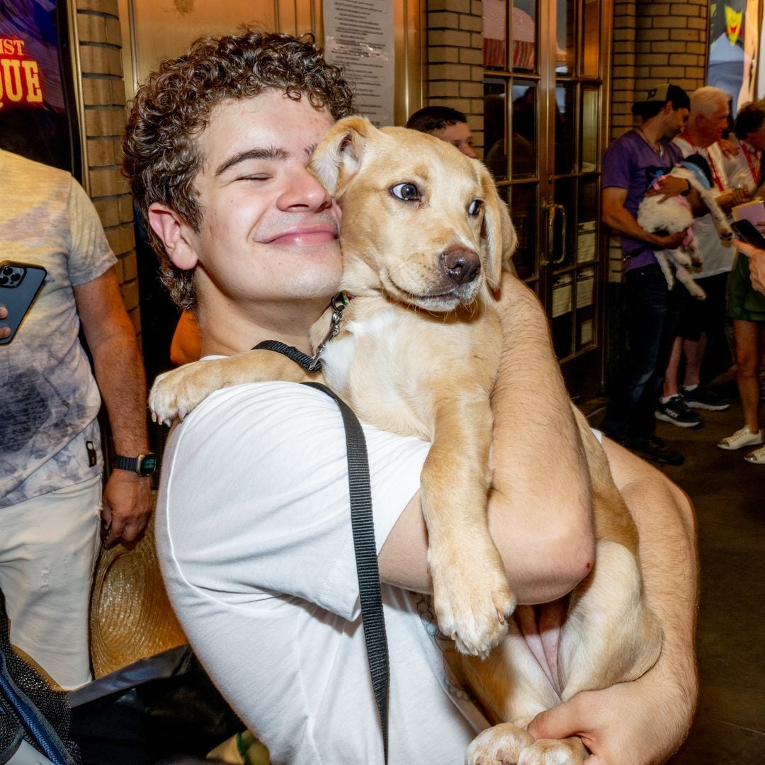 Gaten Matarazzo en un evento de Broadway