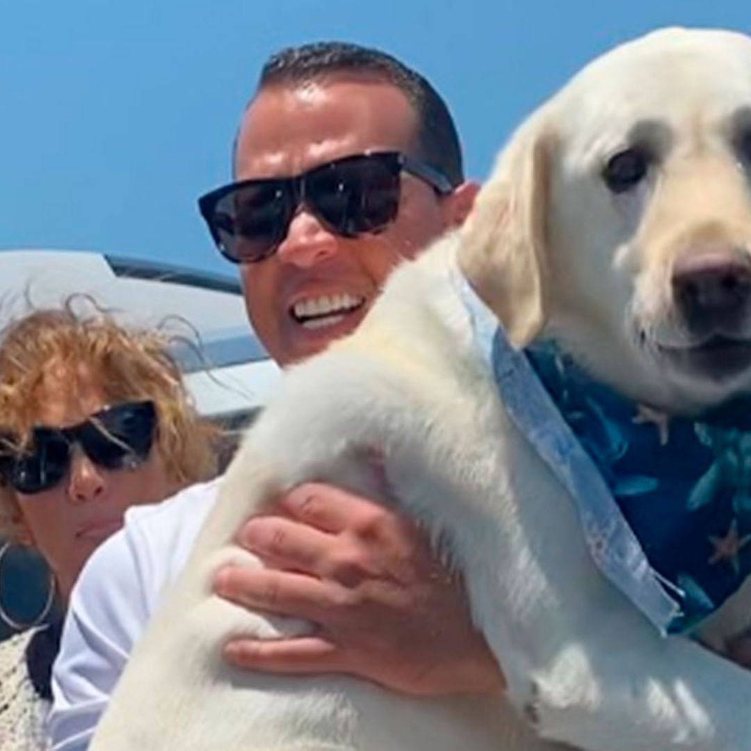 ¡Yo me quedo en tierra! El susto del perro de Jennifer Lopez y Alex Rodríguez antes de subir a un avión