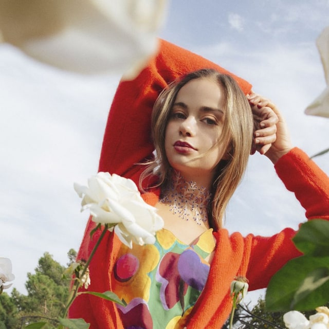 amelia windsor fashion 2t