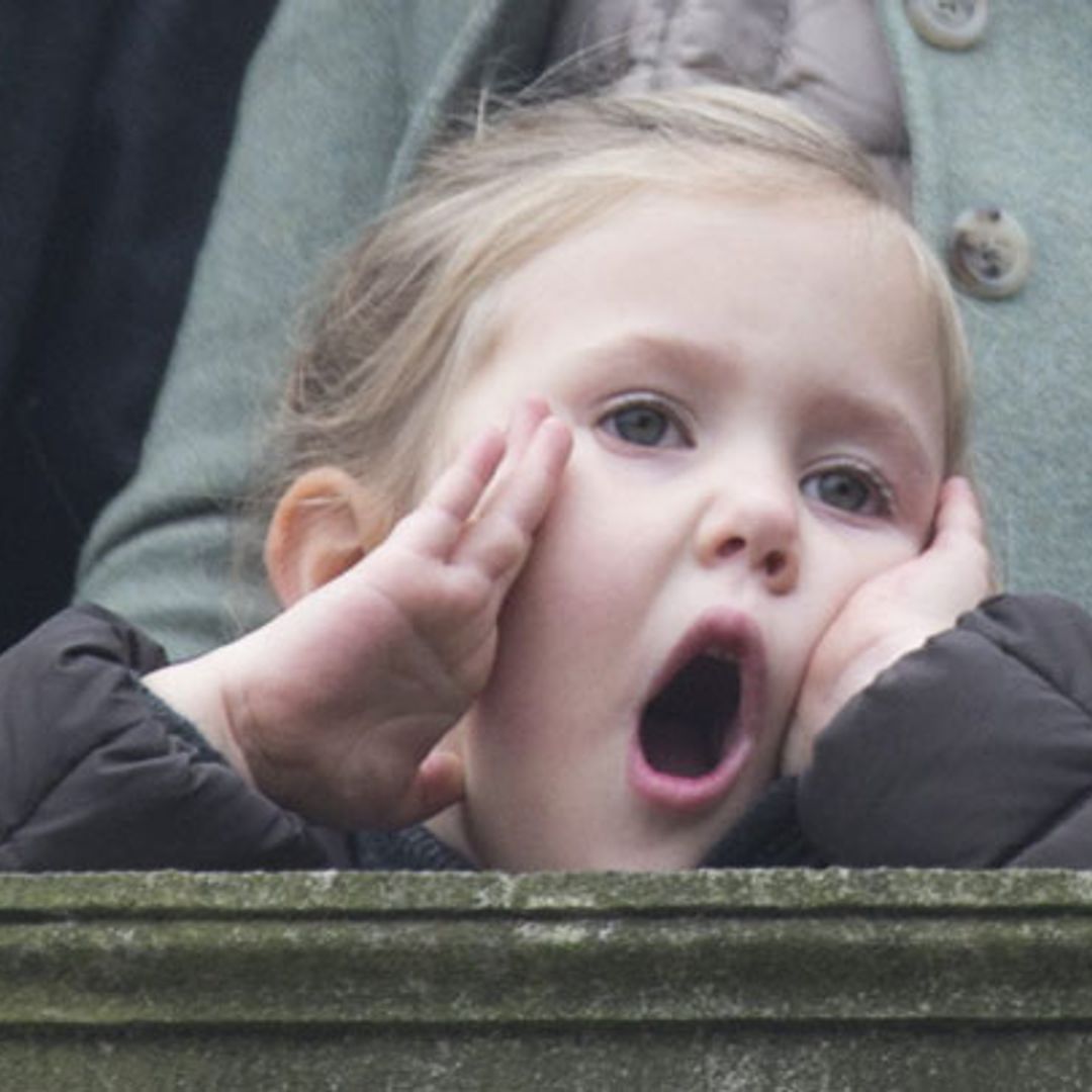Josephine de Dinamarca y el minion requisado