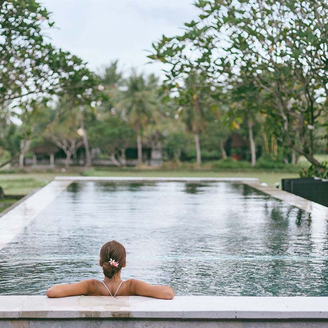 Cómo elegir las plantas y los árboles más adecuados para plantar cerca de la piscina