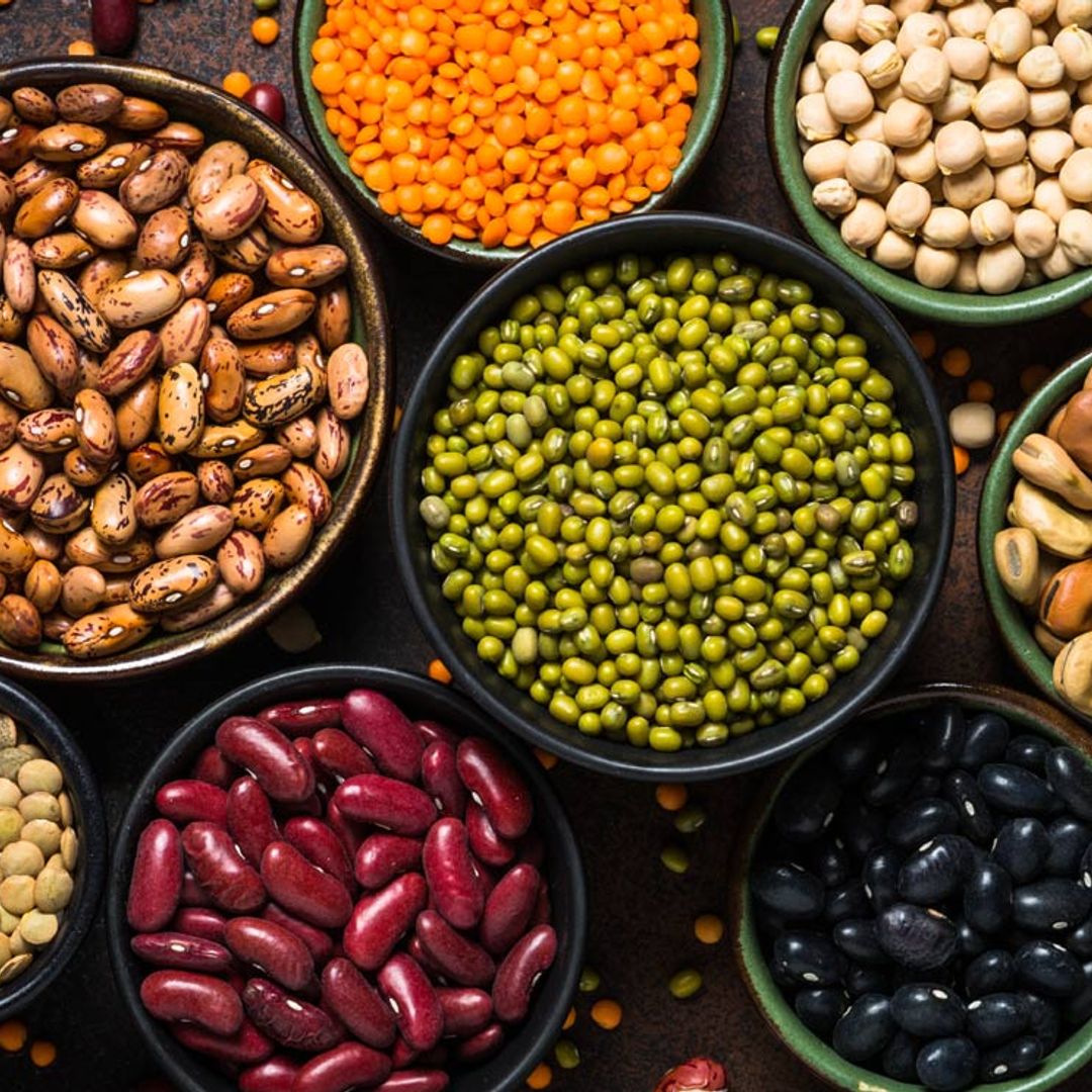 ¿Quieres saber cuáles son los alimentos vegetales con más proteínas?