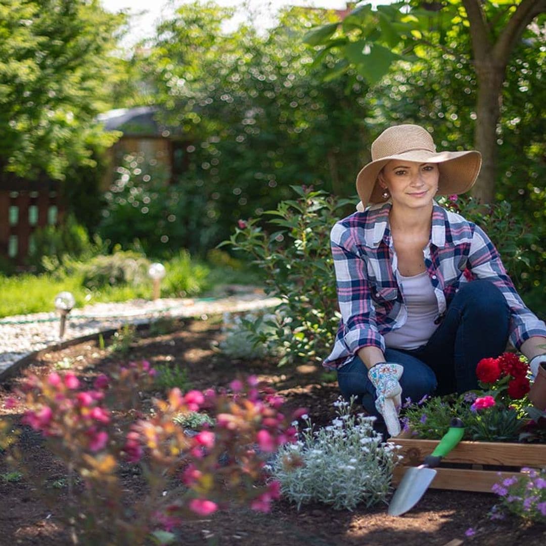 10 plantas perfectas para cultivar en primavera