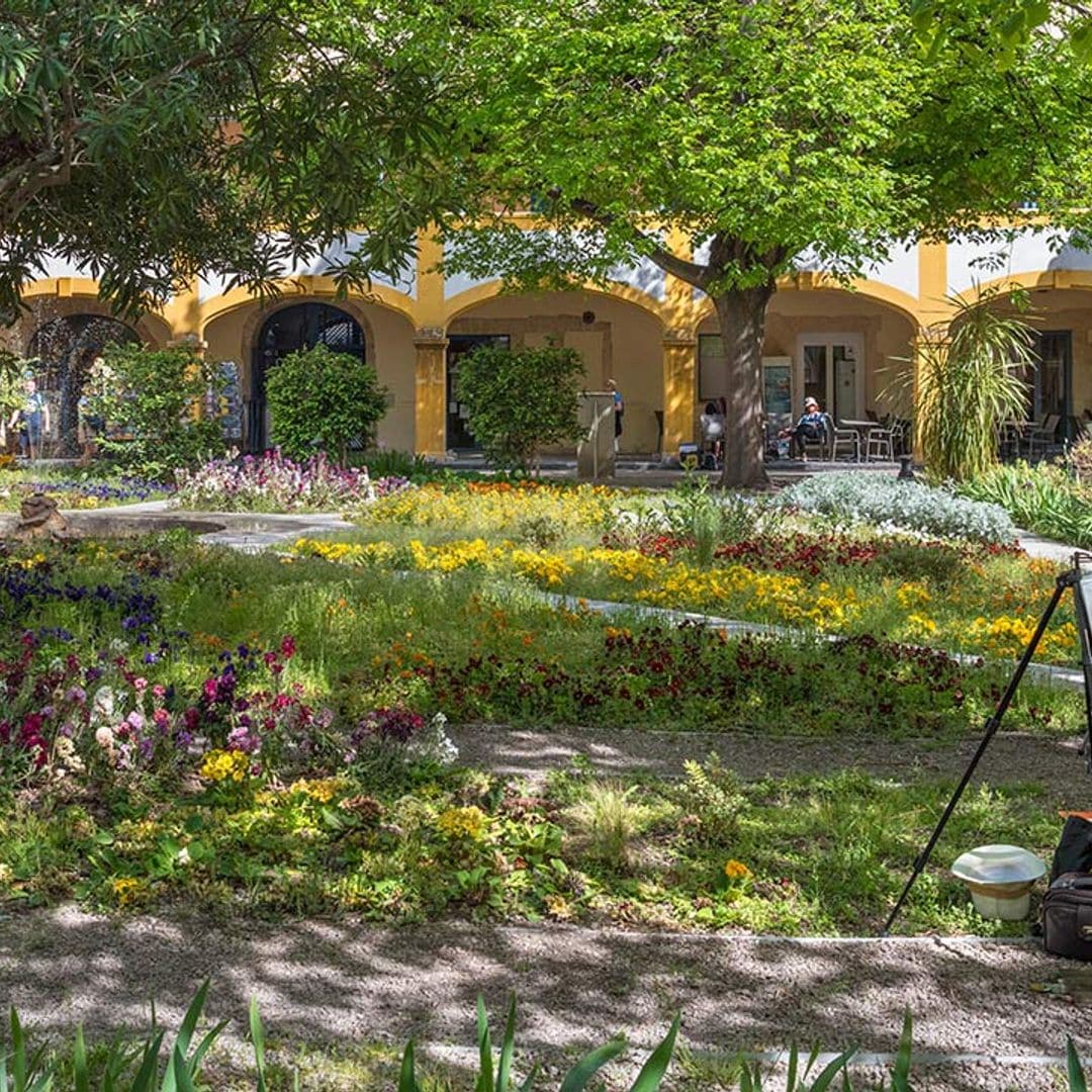 Dos días en Arles, la encantadora ciudad de la Provenza que pintó Van Gogh