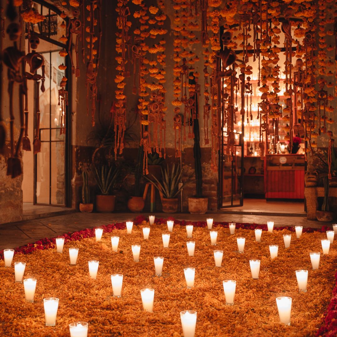 Un altar de Día de Muertos en colectivo: La propuesta de Proyectos Públicos