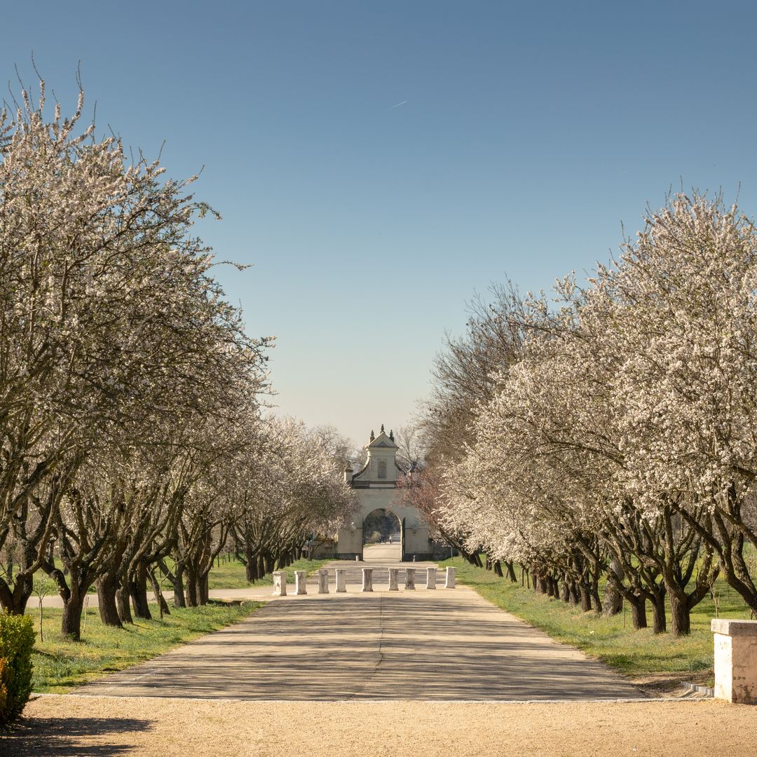 Madrid este fin de semana: los planes más apetecibles para disfrutar la primavera al máximo