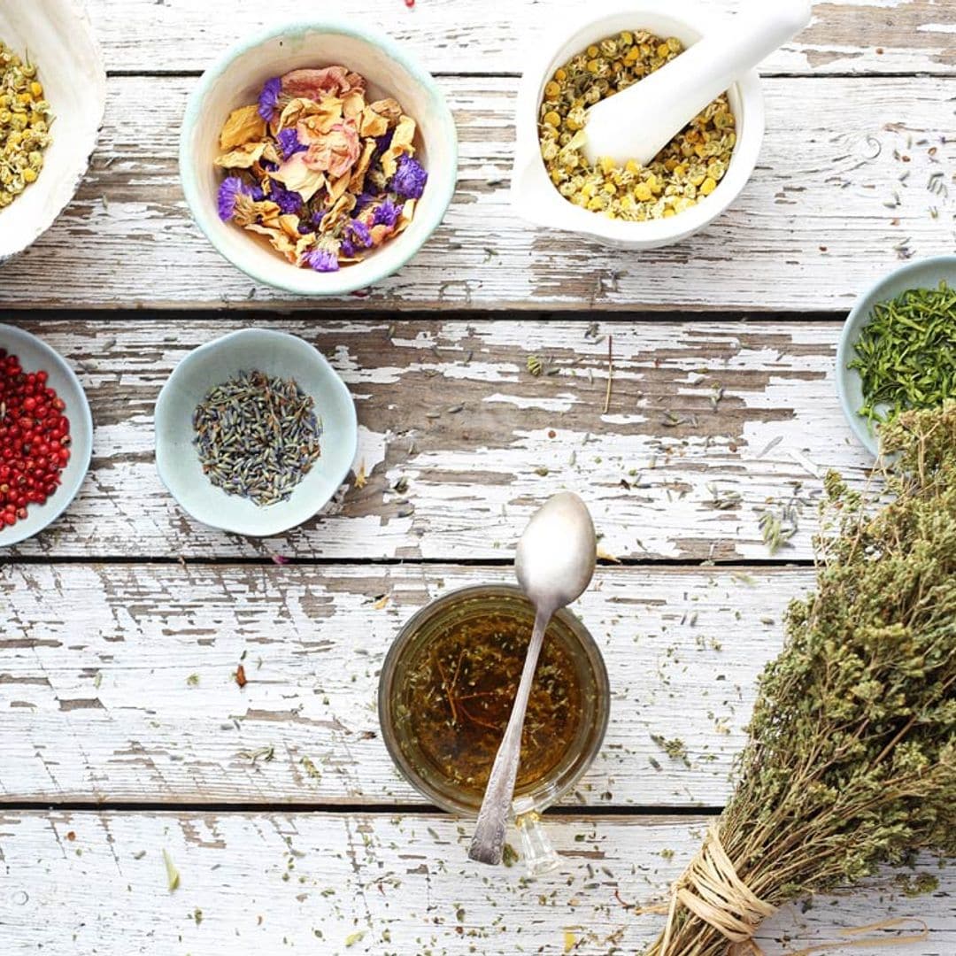 10 plantas medicinales que te protegen de infecciones, golpes, quemaduras o mosquitos