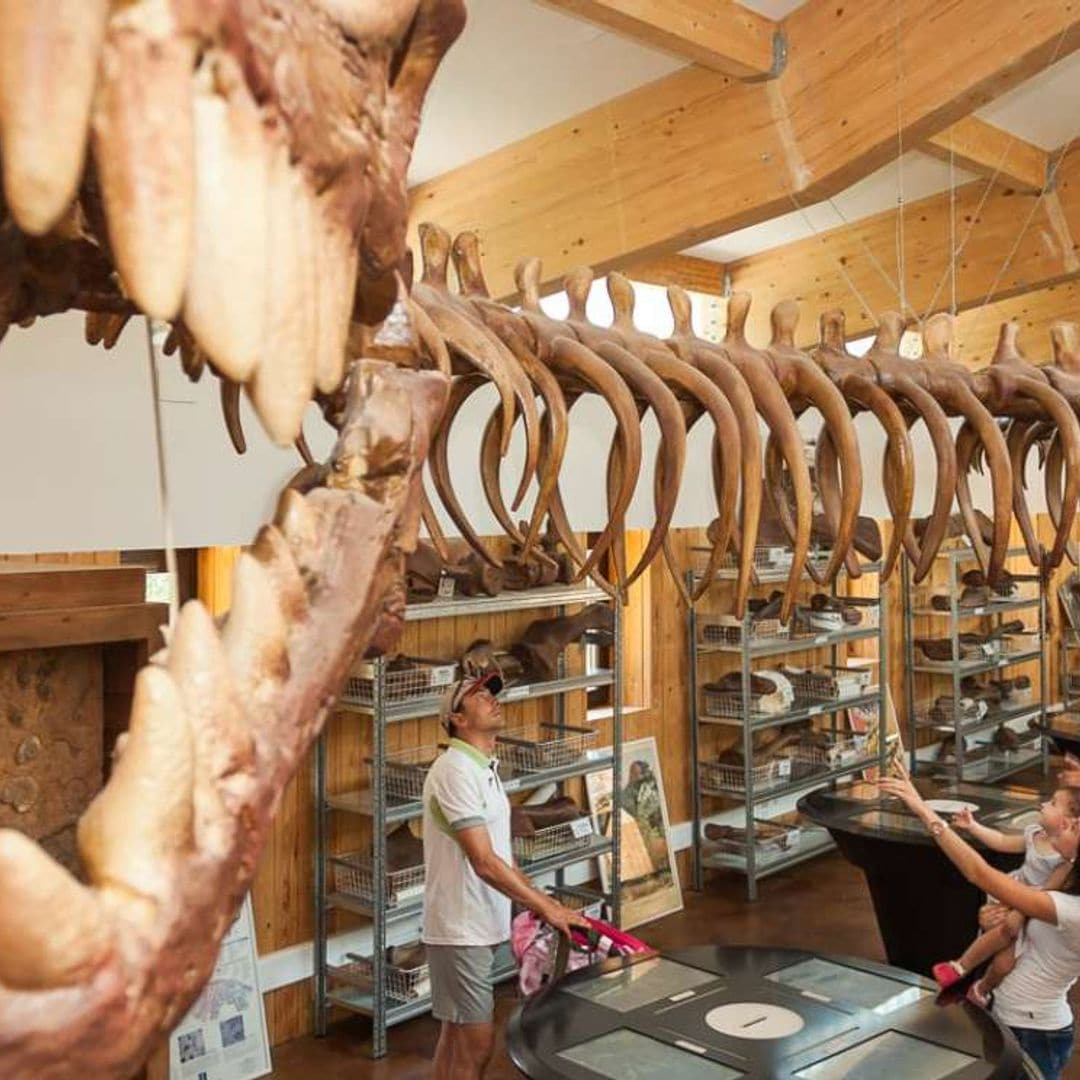 La ruta de los dinosaurios por La Rioja empieza en Enciso