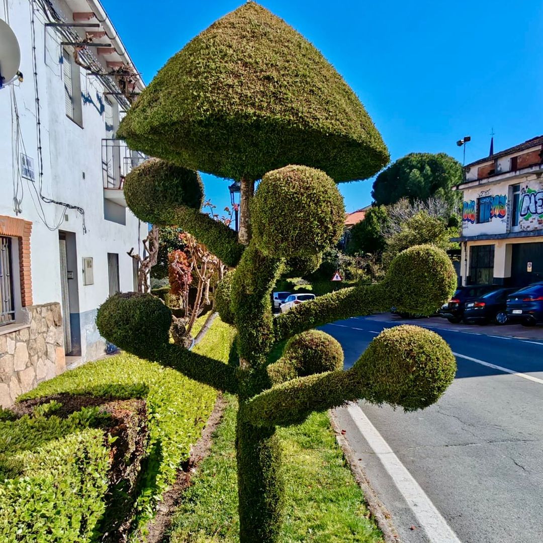 El pueblo extremeño donde los árboles se convierten en arte: así es Losar de la Vera y sus 100 esculturas vivas