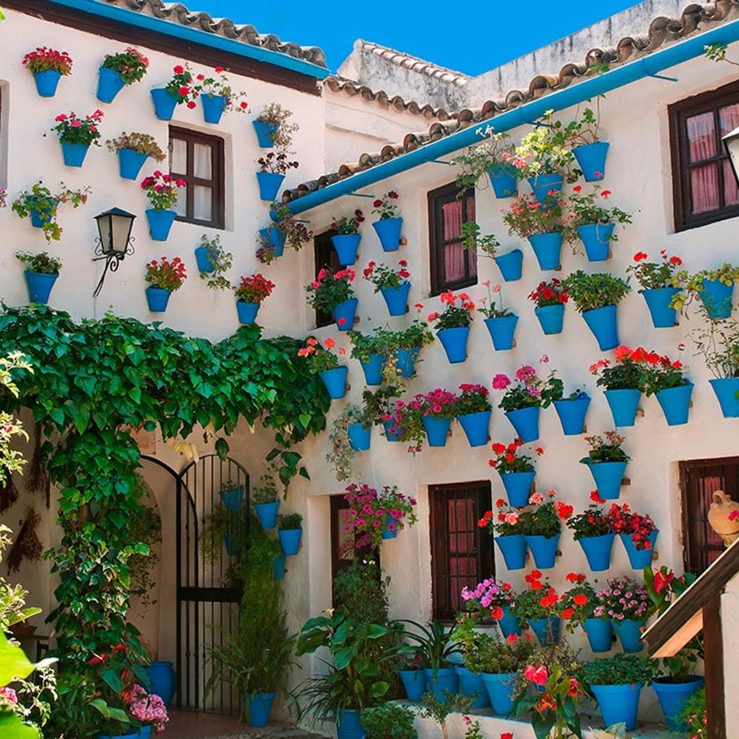 5 maneras diferentes y originales de disfrutar de los Patios de Córdoba