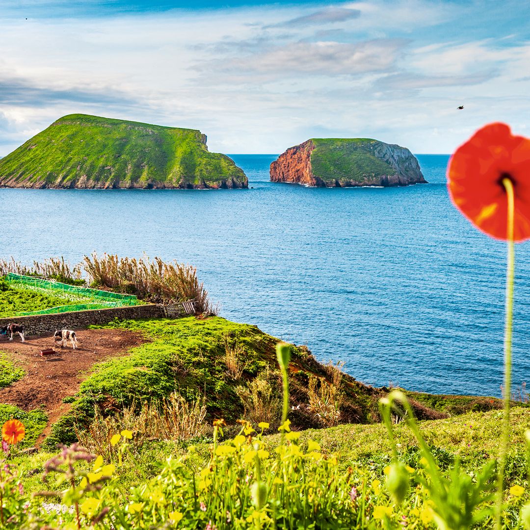Isla de Cabras vista desde Terceira.
