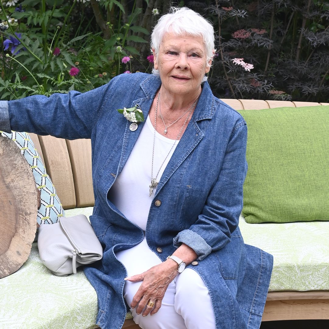 La dramática realidad de Judi Dench por culpa de su enfermedad: “No me quiero retirar, pero no estoy haciendo mucho porque no puedo ver”