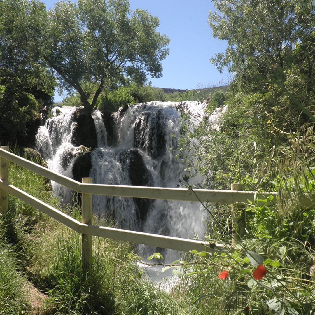 Pozo Redondo, Jaraba