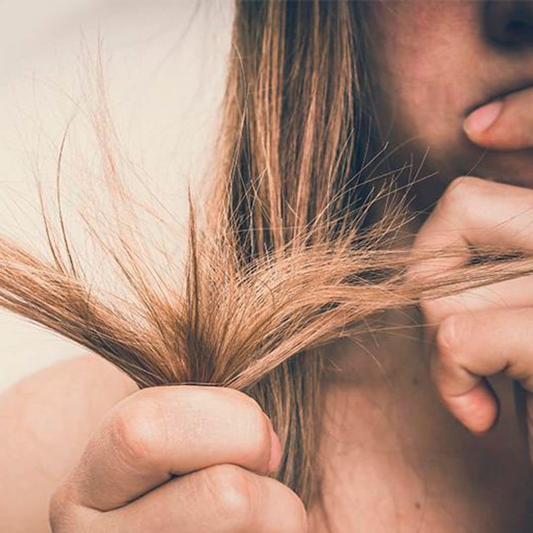 ¿Puntas abiertas? Sálvalas con estos productos