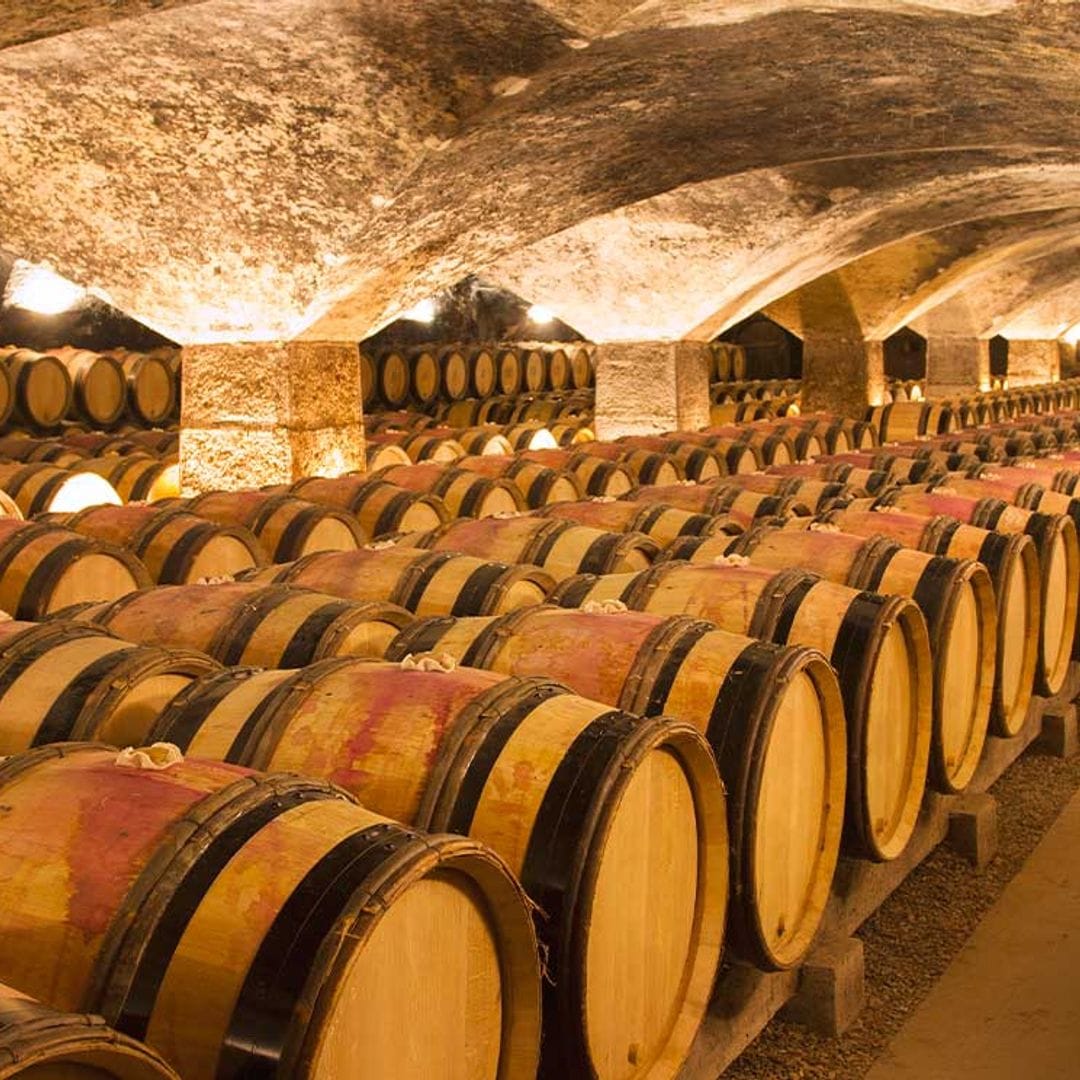 De bodega en bodega por tierras riojanas