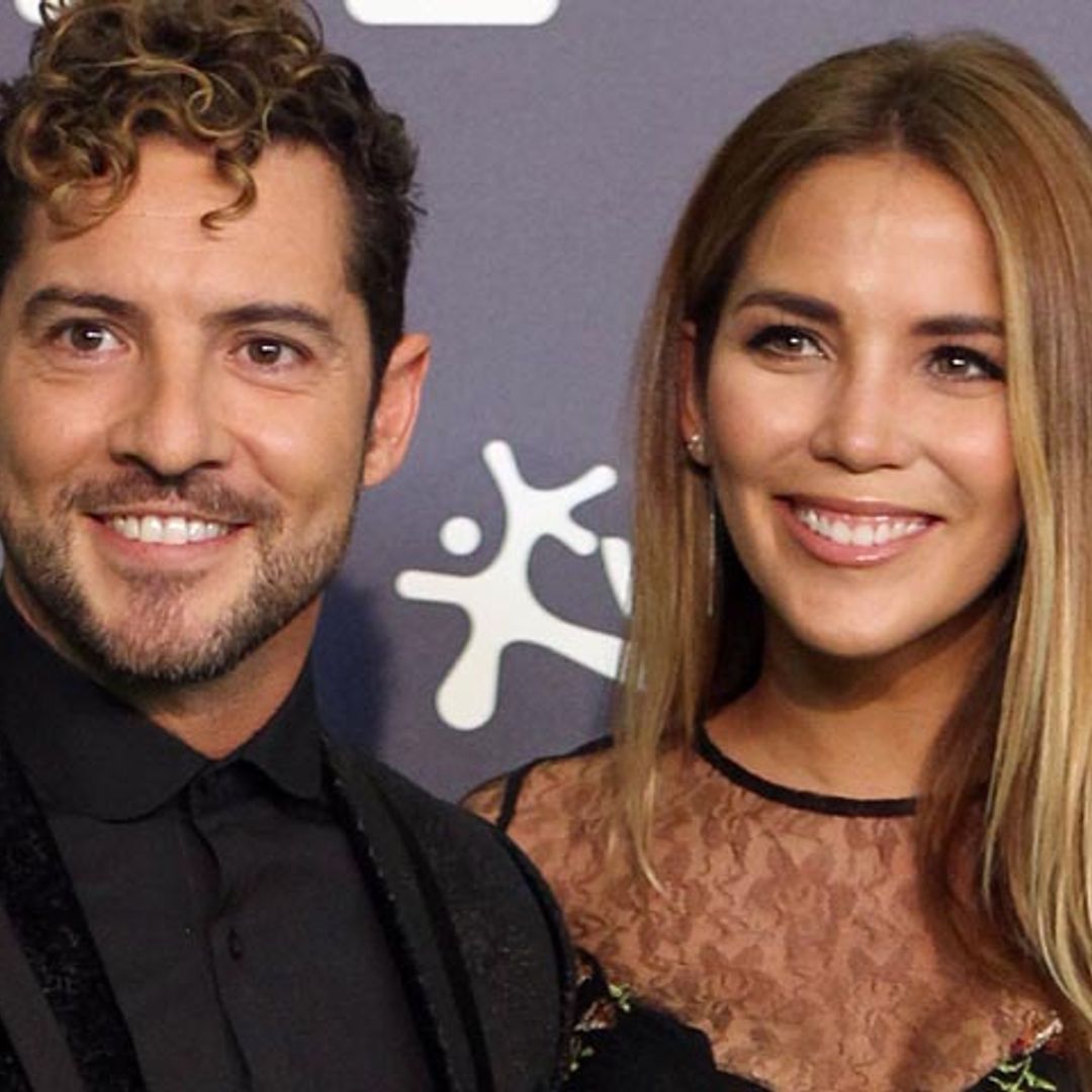 David Bisbal y Rosanna Zanetti ya son pareja de hecho ¿Qué implica esta unión?