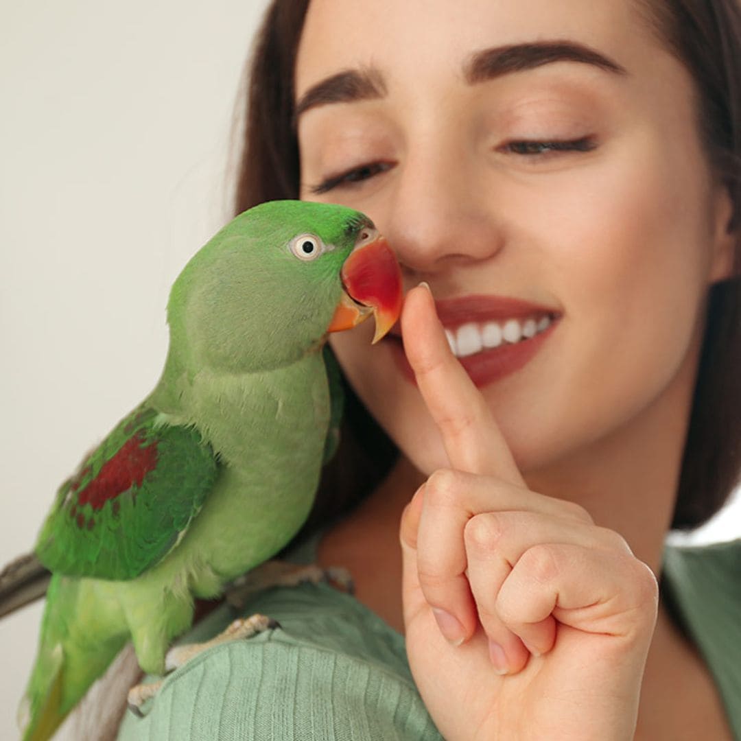 Felicidad e ira: así es como tu loro te expresa amistad o miedo