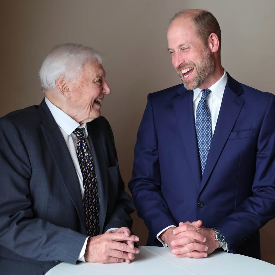 De George a Louis: Cómo las historias de Attenborough enseñaron a los hijos de los Príncipes de Gales a luchar por el planeta