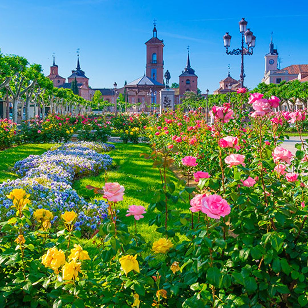 Ideas para un día de primavera en Alcalá de Henares 