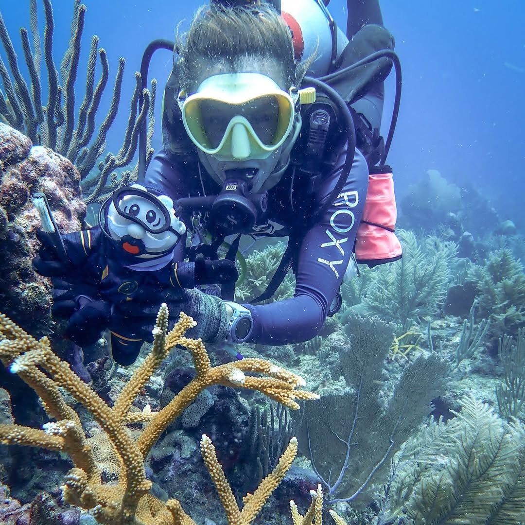 Uno de los principales enfoques de SíMiPlaneta está en la protección marina.