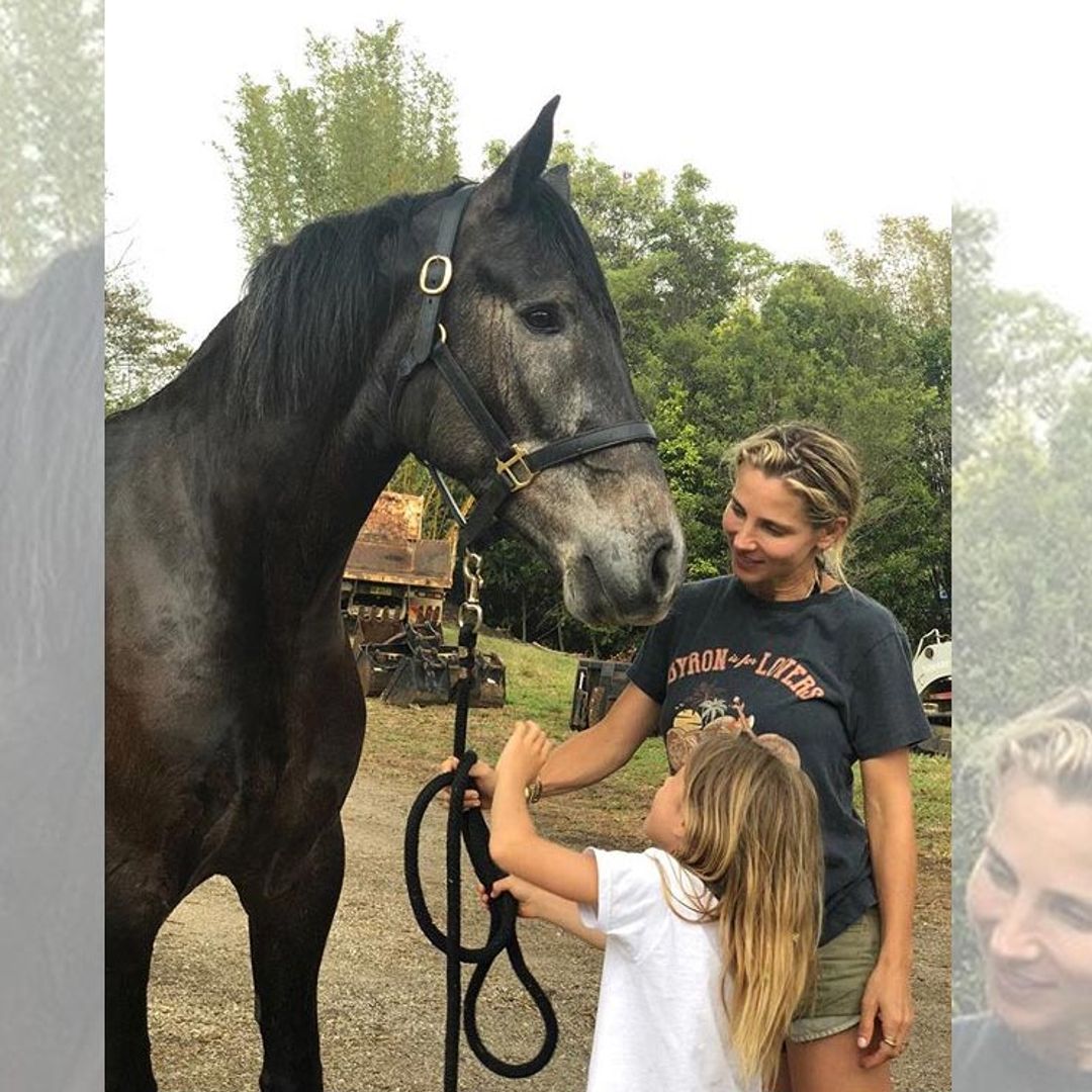 Elsa Pataky comparte una imagen del 'nuevo miembro' de la familia