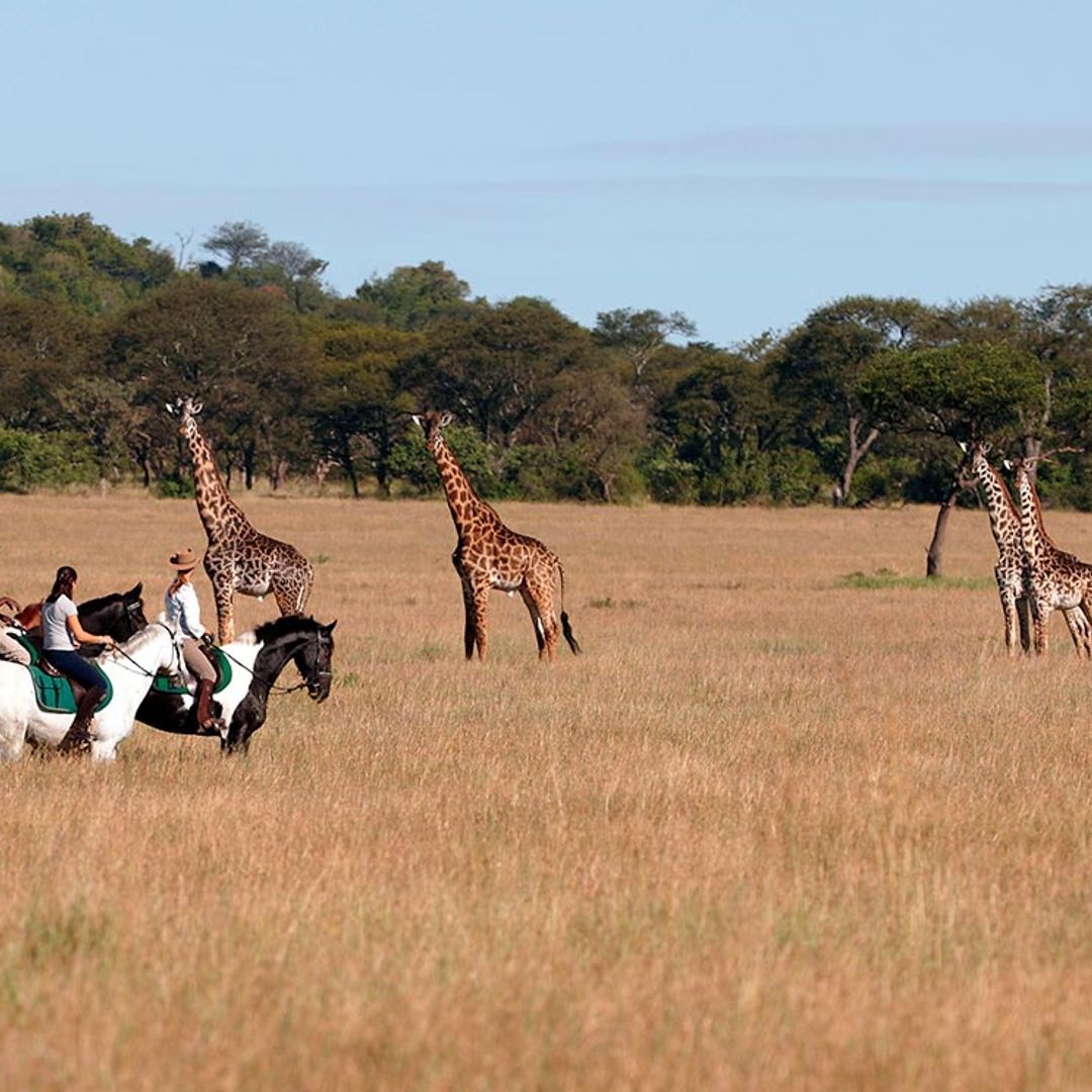 Safaris diferentes en Tanzania